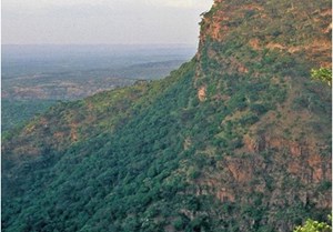 The Mukuyu prospect is an enormous anticline feature mapped on seismic data with over 200km2 under closure and contains multiple prospective horizons. Photo: Invictus Energy